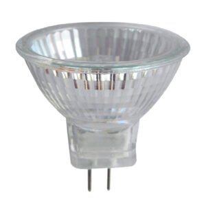 MR16 Halogen Globe