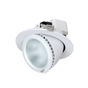 SHOP: LED Commercial Shop Lighters / Downlights (Round)