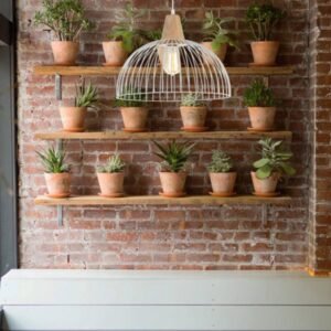STRAND: Iron and Wood Dome Cage Pendant Lights