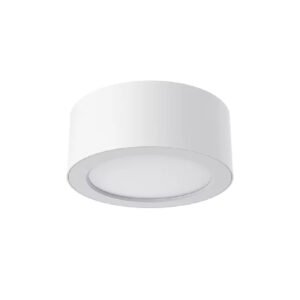 30W LED SURFACE MOUNT (DL30096/30W/WH/TC)