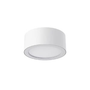 20W LED SURFACE MOUNT (DL20096/20W/WH/TC)