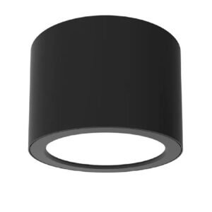 15W LED SURFACE MOUNT(DL10196/BK/TC)
