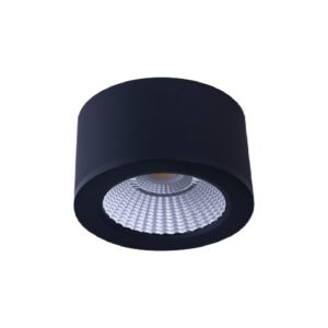 15W LED SURFACE MOUNT LIGHT (DL2081)