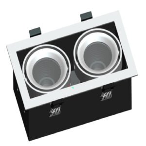 2X10W SQ ADJUSTABLE DOWNLIGHT (LUX-DD1810M-C20W)