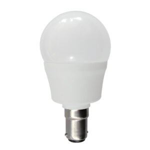 Fancy Round LED Globes (6W)