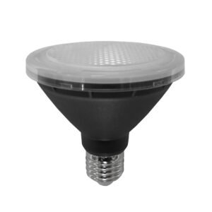 PAR30 LED Globe (10W)