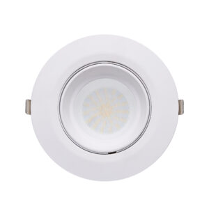 SHOPTRI01: LED Dual Power & Tri-CCT Gimbal White Recessed Shop Lighter