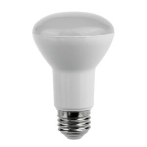 R63 & R80 LED globes