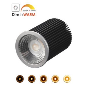RETROD: Retrofit LED DIMMABLE-TO-WARM Globe (8.2W)