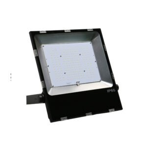 FLOOD: LED Flood Light (200W)