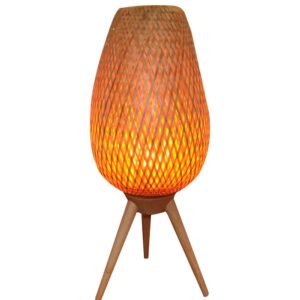 OSIER: Interior Clear Coated Wood Table Lamp
